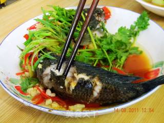 Steamed Raw Fish recipe