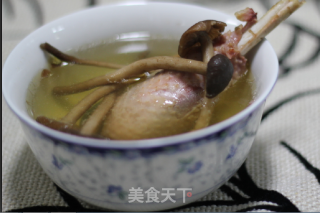 Two Simple Steps to Create Delicious Fresh Soup——tea Tree Mushroom and Chicken Soup (to Promote Lactation and Protect Against Cold) recipe