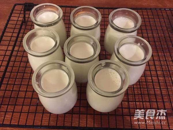 Homemade Yogurt recipe