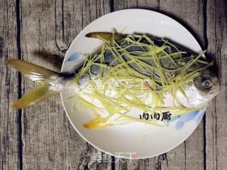 Traditional Cantonese Cuisine Steamed Golden Pomfret#肉肉厨 recipe