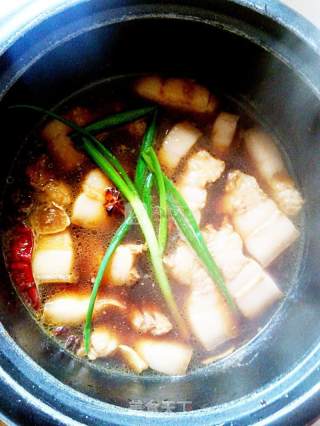 Braised Pork in Rice Cooker recipe