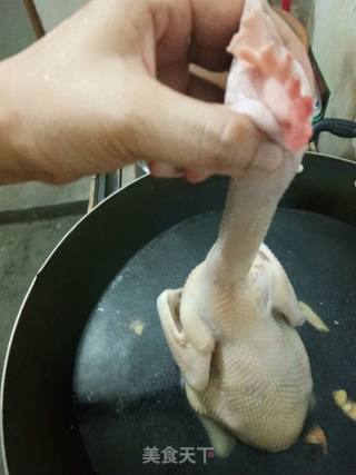 White Sliced Chicken recipe