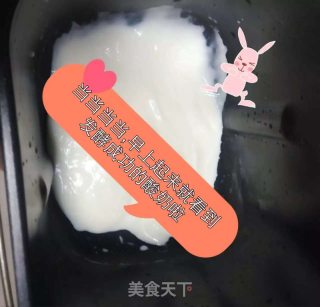 Production of Yogurt recipe