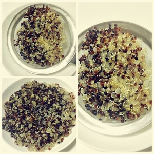 Quinoa Reduced Fat Salad [end of Mix and Match] recipe