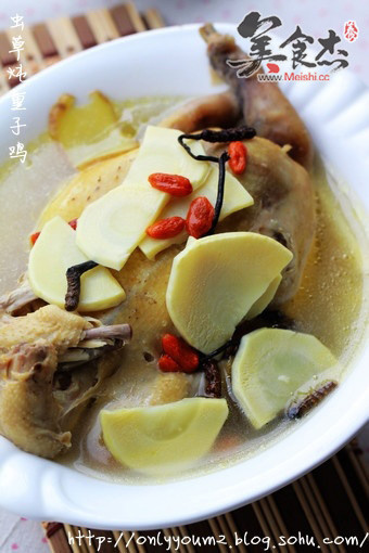 Stewed Boy Chicken with Cordyceps recipe