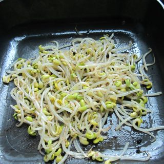 Soy Bean Sprouts recipe