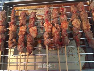 #trust之美#grilled Lamb Skewers recipe