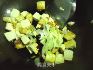 Laoganma Roasted Tofu recipe