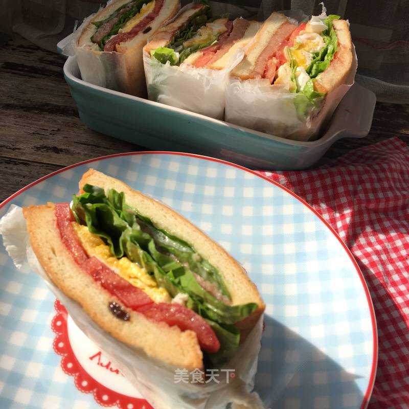 Quick Pocket Sandwich recipe