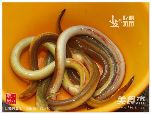 Blood Eel and Soybean Soup: A Bowl of Nourishing Soup recipe