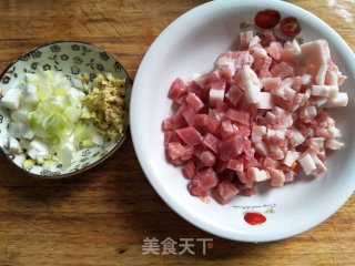 Fried Noodles with Mustard Pork recipe