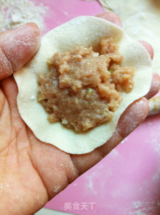 Beef and Radish Dumplings recipe