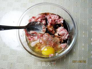 Leek Meat Lace Box recipe