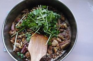 Cilantro Chicken recipe