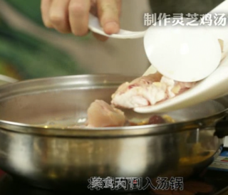 Lingzhi Chicken Soup-extraction Pot to Help recipe