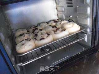 Candied Date Rolls recipe