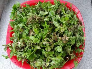 Shepherd's Purse Mixed with Fragrant Dried recipe