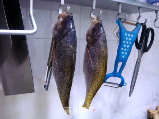 Braised Golden Back Red Silk Fish recipe