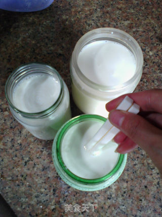 Homemade Yogurt at Room Temperature recipe