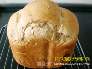 Bread Machine Version [whole Wheat Bread] recipe