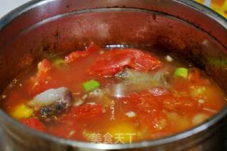 Oxtail Bone Tomato Soup recipe