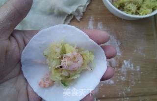 Crystal Krill Dumplings recipe