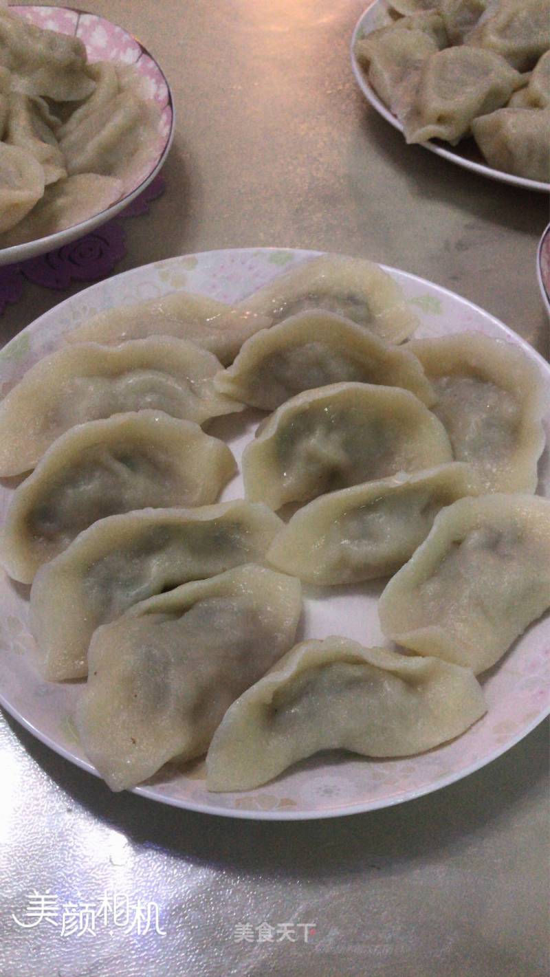 Meat Dumplings recipe