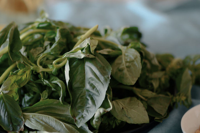 Herbal Cabbage and Vanilla Sauce recipe
