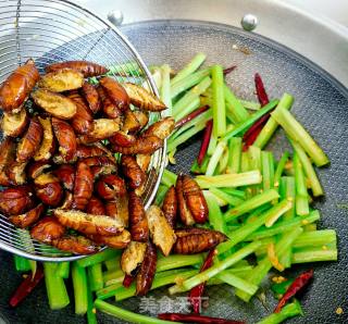 Dry Stir-fried Silkworm Pupa recipe