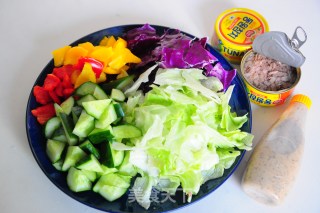 Tuna Vegetable Salad recipe