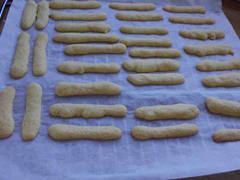 Important Element of Tiramisu-finger Biscuits recipe