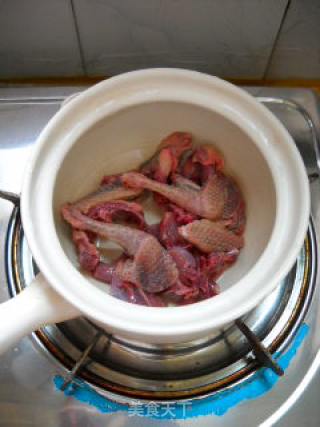 Stewed Pigeon with Polygonatum and Radix recipe