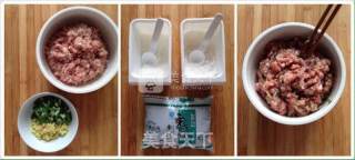 Spicy Little Wontons recipe