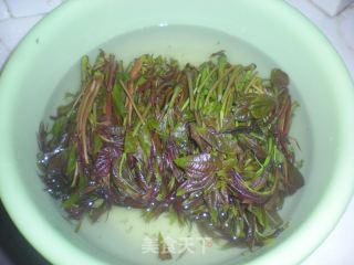 Pickled Toon recipe