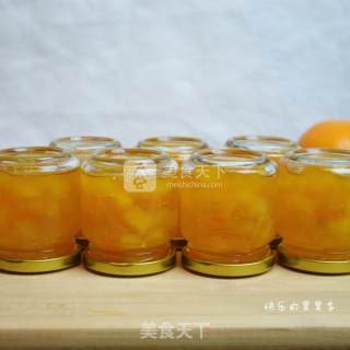 Mango Cantaloupe Jam recipe