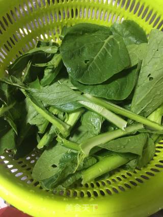 Shimizu Cabbage recipe
