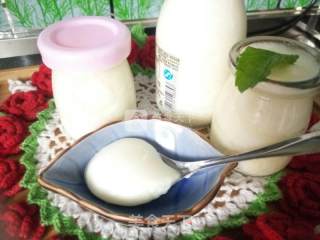Homemade Old Yogurt (bread Machine Version) recipe