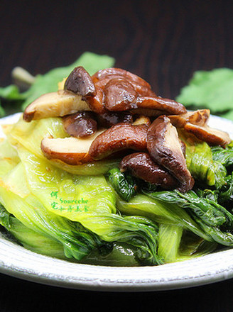 Stir-fried Lettuce with Mushrooms