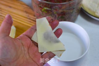 Beef Wonton recipe