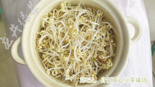 Homemade Assured Bean Sprouts recipe