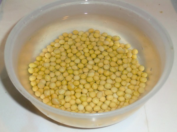 Soy Milk recipe