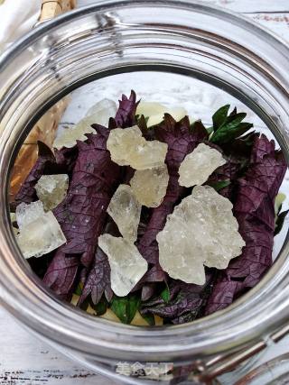 [combining Medicine with Food] Perilla Ginger——don’t Eat Too Much Ginger without Removing Ginger recipe