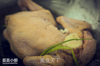 Hakka Salted Chicken 【yun Yun Little Chef】 recipe