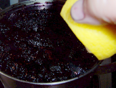 Mulberry Juice recipe