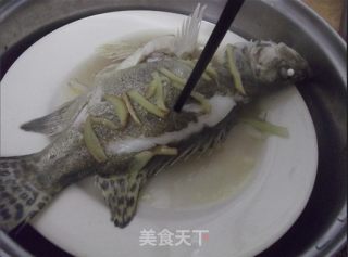 【cantonese Cuisine】steamed Osmanthus Fish recipe