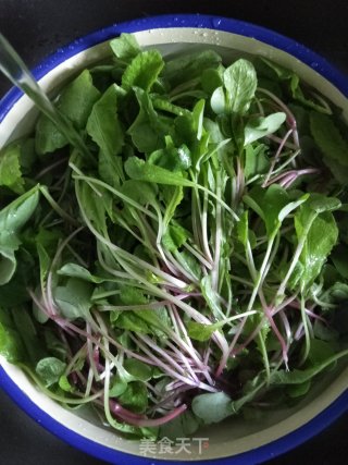 Stir-fried Radish Seedlings recipe