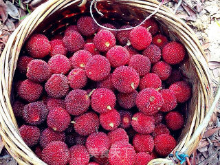 Iced Osmanthus Bayberry Juice recipe