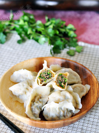 Leek Meat Dumplings recipe