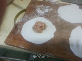 Shrimp Dumplings to Make Authentic Cantonese Delicacies at Home recipe