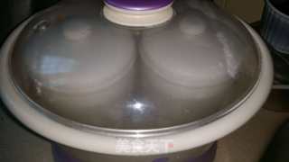 Stewed Hashima with Papaya recipe